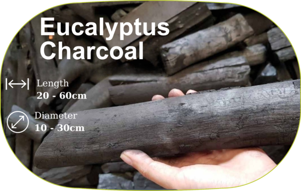 Eucalyptus Charcoal