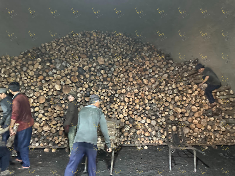 Arrange the raw wood in the kiln