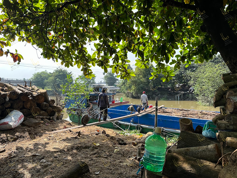 Transporting raw wood